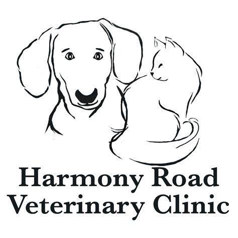 High-Quality Vet Hospital in Fort Collins, CO | Harmony Road Veterinary