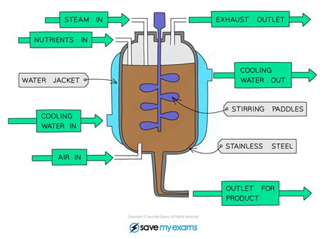 Batch And Continuous Fermentation 6411 Ocr A Level Biology Revision