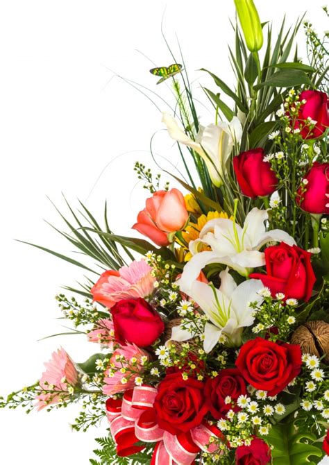 Liebe herzen hintergrundbilder mot roten liebe herzen in 3d mit weißen kreisen. Blumenstrauß mit einem weißen hintergrund | Kostenlose Foto