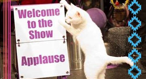 Does your cat have a tendency to run away? 9 Reasons Why You Might Want to Run Away & Join the Cat ...