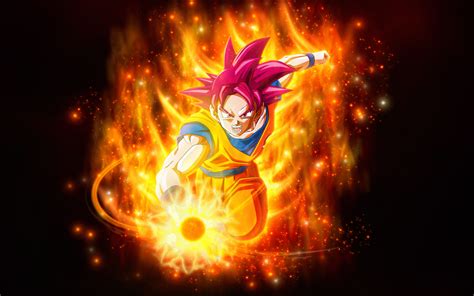 1440x900 Resolution Super Saiyan God Goku Dragon Ball 1440x900