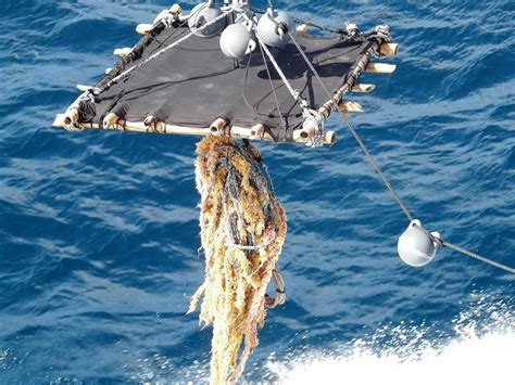 La Flota Atunera Española Ya Tiene Proyectos De Fad Biodegradables En