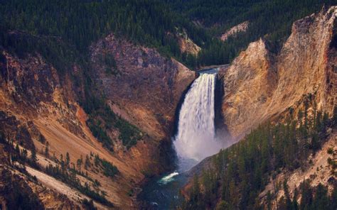 Waterfalls Free Wallpaper Yellowstone Lower Falls Wallpapers Hd