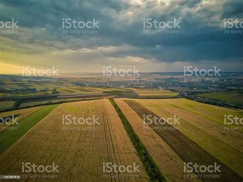 Aerial Panorama Over Healthy Green Crops In Patchwork Pasture Farmland