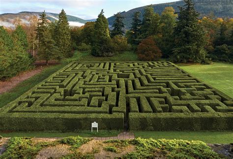 Discover Some Of The Best Mazes In The Uk The English Garden