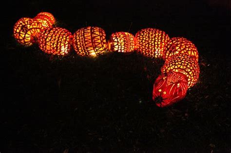 Lighting Holidays Jack O Lantern Blaze Holidays Halloween Halloween