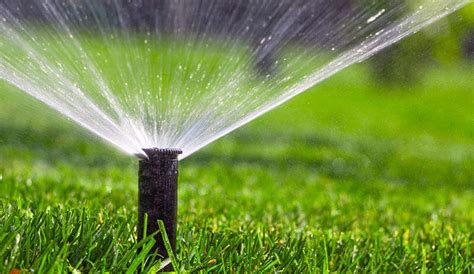 Maybe you would like to learn more about one of these? Spring Care Tips for Northern and Southern Lawns