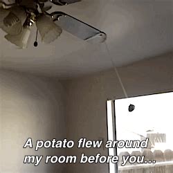 A potato flying around your room. a potato flew around my room | Tumblr