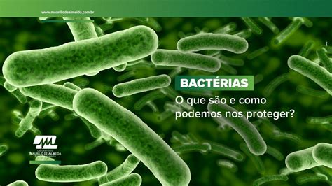 Bactérias o que são e qual a importância de se proteger