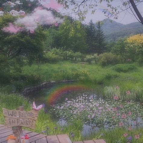 There Is A Sign That Says No Bees In Front Of A Small Pond With Flowers