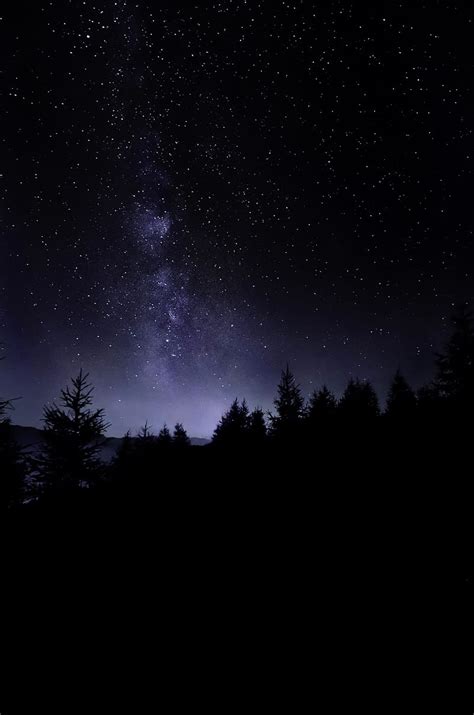 1920x1080px 1080p Free Download Pine Trees Under Starry Sky Hd