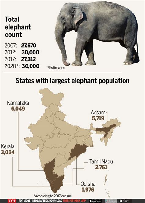World Elephant Day Govt Sets Tech Driven Norms To Help Reduce Man