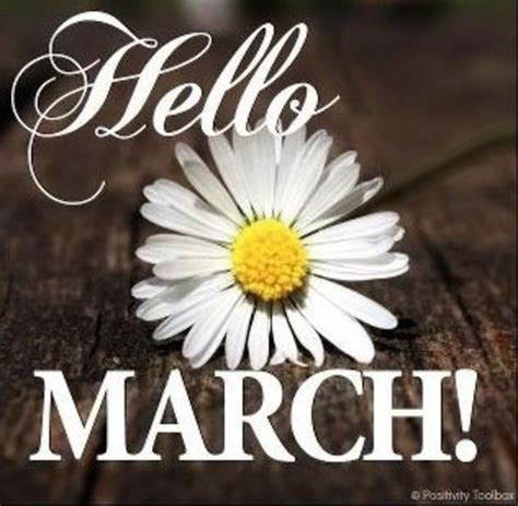 120 Hello March Quotes In 2021 Hello March Hello March Quotes March