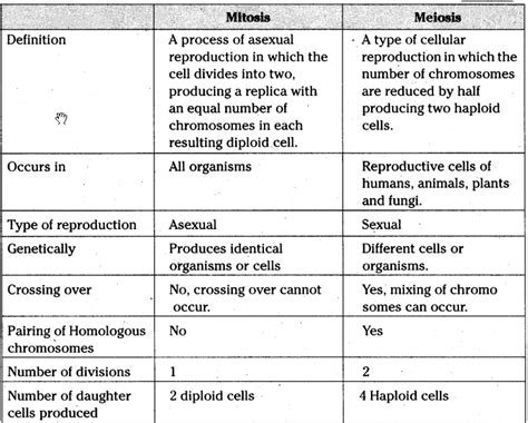 What Is The Difference Between Meiosis And Slideshare