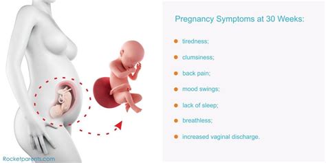 Pin On Baby Development Week By Week