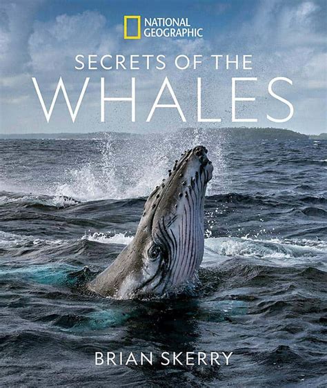 National Geographic Secrets Of The Whales Book Released Disney Dining