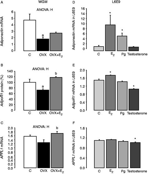 2*3*8=6*8 and 'kw0f'!='kw0f%, testing and 2*3*8=6*8 and btdh=btdh, testing' and. Estradiol stimulates mitochondrial biogenesis and ...