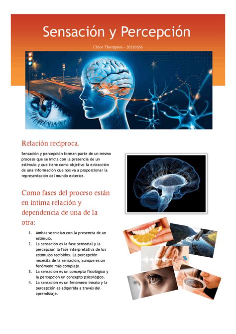 Sensación Y Percepción Infografia Diapositivas De Psicología Docsity