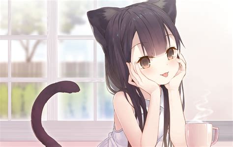 Download 1500x949 Anime Cat Girl Animal Ears Tail Loli Cute Long
