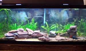 Pin Cylinder Fish Tanks Aquariums on Pinterest