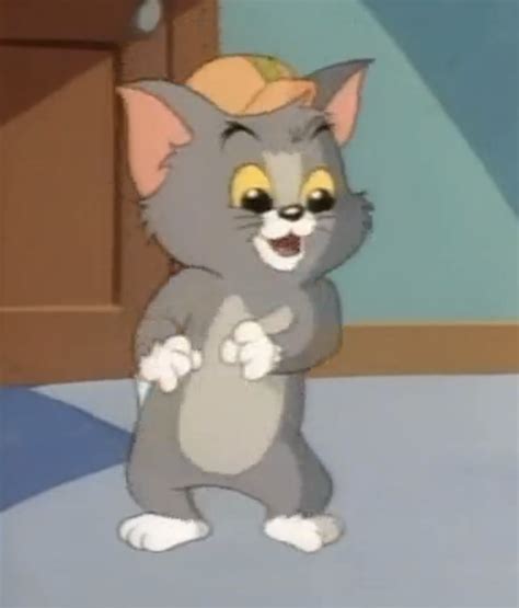 Watch tom and jerry kids show season 1 full episodes cartoon online free. Tim Cat | Tom and Jerry Kids Show Wiki | Fandom powered by ...