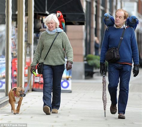 Couple Take Their Parrots For A Walk Through Central London Daily