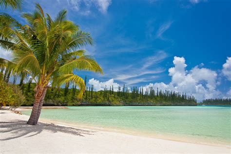 Price Beat Guarantee My New Caledonia Holiday Package Deals