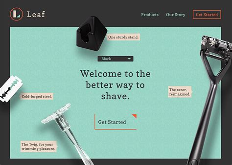 Everything you need for a simple and effective manscaping routine. Leaf Shave - Awwwards Nominee