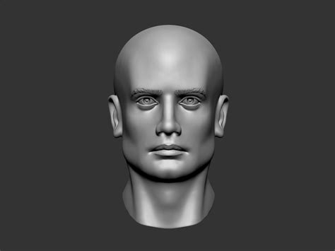 Male Head High Poly 3d Model 3d Model Cgtrader