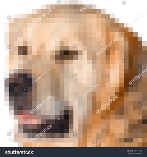 Pixel Image Dog Golden Retriever Closeup Stock Illustration 140174155