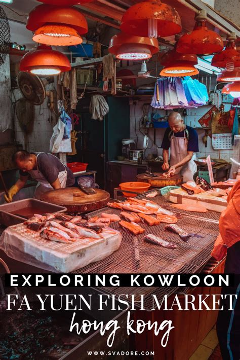 Exploring Kowloon Hong Kong Fa Yuen Street Fish Market Travel Baby