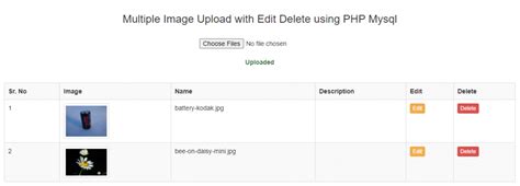 Multiple Image Upload With Edit Delete Using Php Mysql