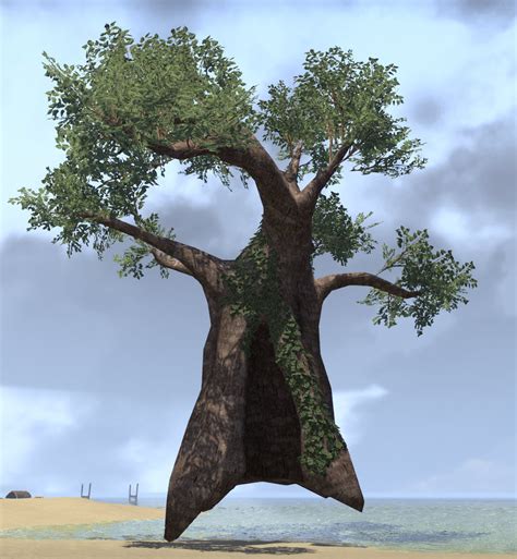 ESO Fashion | Tree, Giant Ficus (Elder Scrolls Online)