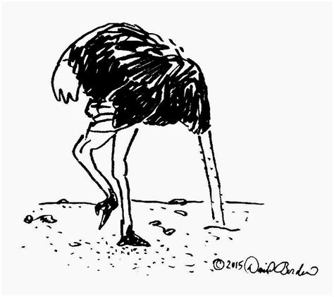 Ostrich Head In Sand Clipart Bocil