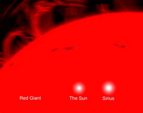 Our Sun And The Star Sirius Compared To A Red Giant Poster Print By Ron
