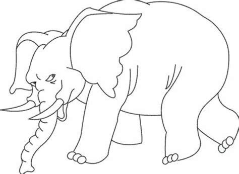 Mewarnai Gajah Anak Tk Gambar Lukisan Gajah Cikimm Com Biar Kamu
