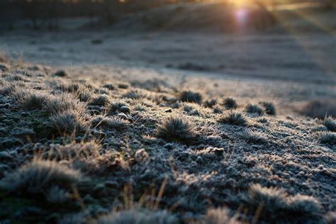 Morning Frost Wallpapers Wallpaper Cave