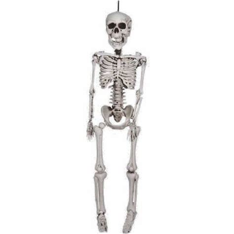 Life Size Skeleton Poseable 3 Ft Halloween Party Prop Eerie Decoration