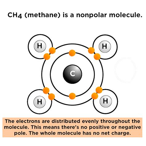 Covalent bonds between different atoms have different bond lengths. Polar vs. Nonpolar Bonds — Overview & Examples - Expii