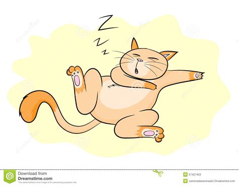 Sleeping Cat Stock Vector Image 57427453