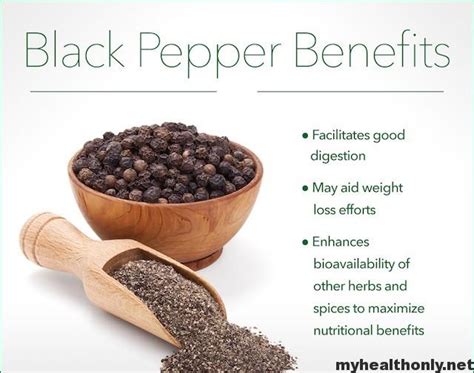 7 Powerful Health Benefits Of Black Pepper My Health Only