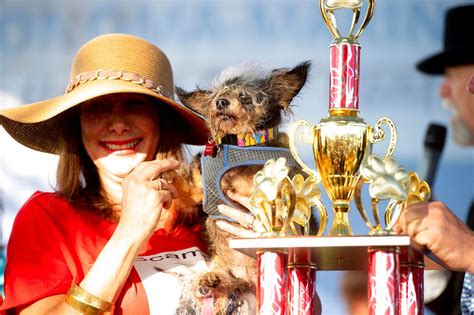 Scamp The Tramp Wins Worlds Ugliest Dog Contest See Photos