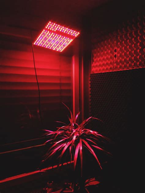Pin By Katie On Colors Red Aesthetic Neon Aesthetic Red Wallpaper