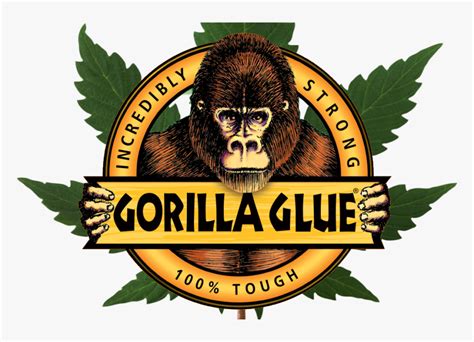 Transparent Gorilla Logo Png Gorilla Glue Strain Logo Png Download