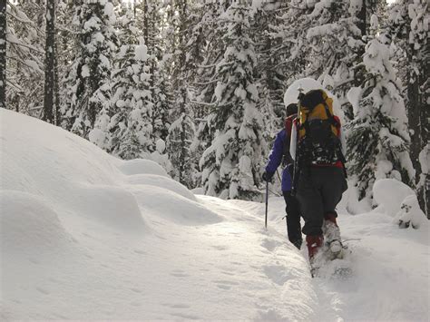 Winter Alt Sports Try These Cold Weather Outdoor Activities