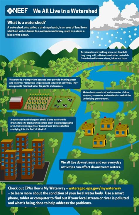 Neef Infographic We All Live In A Watershed Watersheds Rain Water