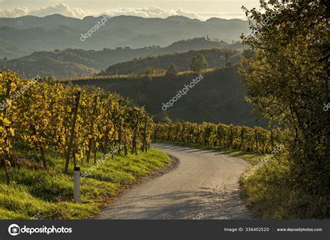 오스트리아 도착한 문재인 대통령을 향한 뜨거운 현지반응 29. 슬로베니아와 오스트리아 와인 도 로 — 스톡 사진 © Roxana #336402520