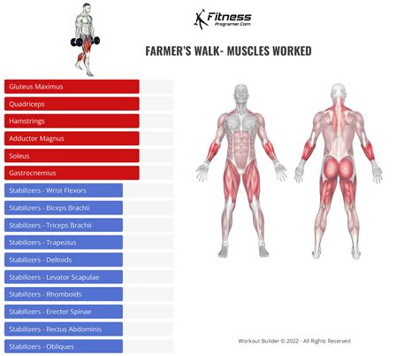 How To Do Farmers Walk Muscles Worked And Benefits