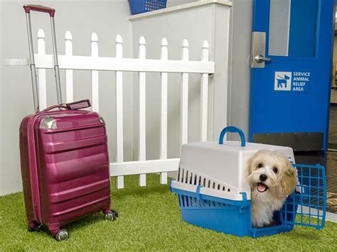 Washington Dulles Airport Indoor And Outdoor Pet Relief Areas Foreverlawn