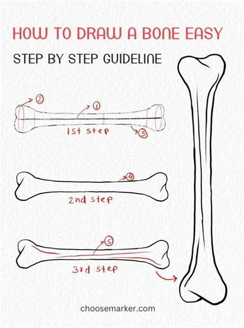 How To Draw A Bone Easy With Step By Step Guideline Bone Drawing